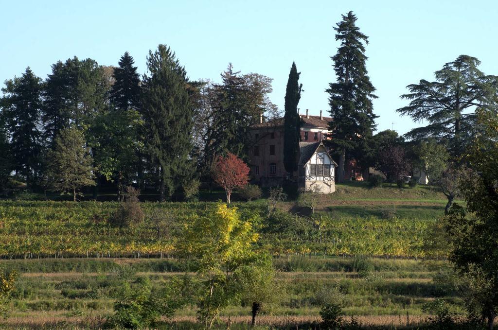 Farm stay Casali Del Picchio - Winery Cividale Del Friuli