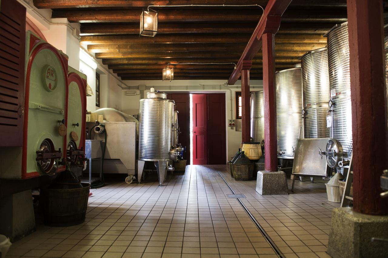 Casali Del Picchio - Winery *