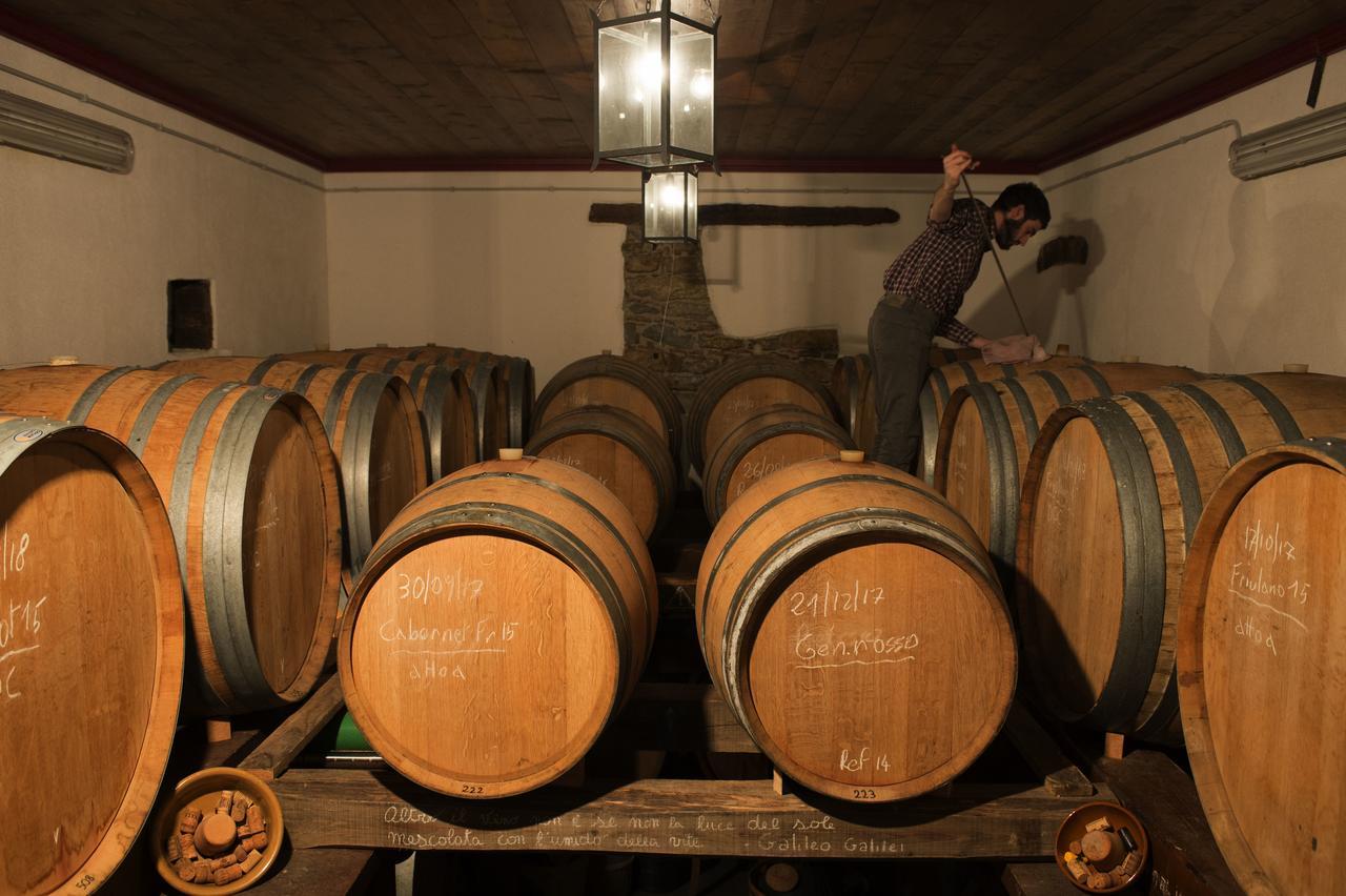 Casali Del Picchio - Winery Farm stay